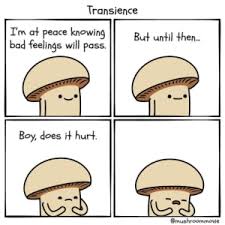 Transience, mushroom